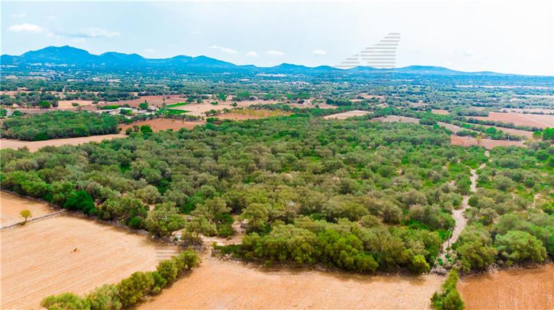 Rustic land of approx. 62.460m2 with project for a detached house,