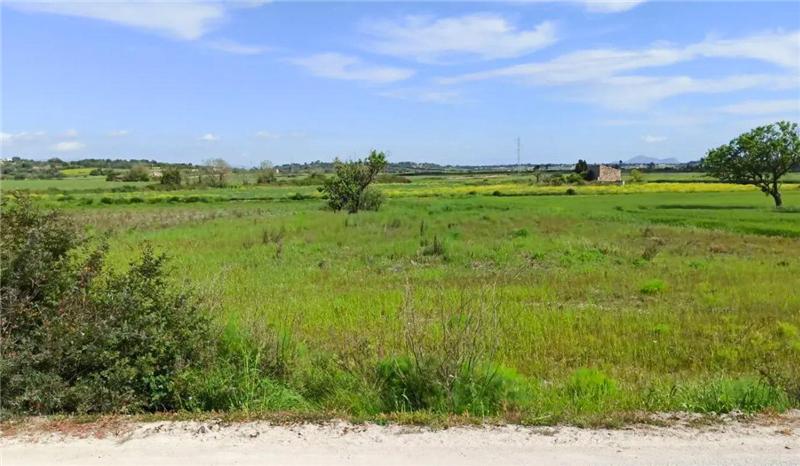 Rustic plot in Santa Margalida